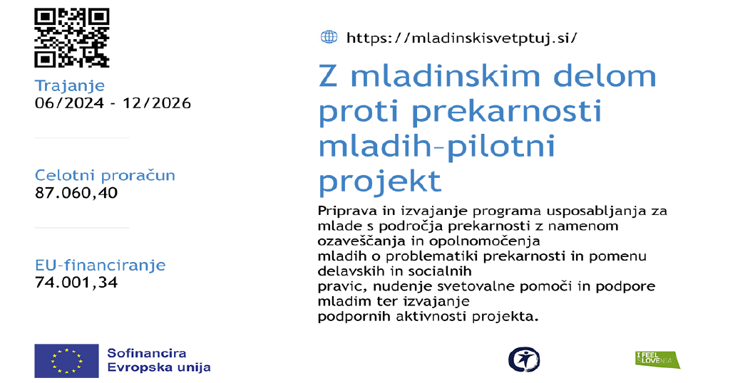 Z mladinskim delom proti prekarnosti mladih - pilotni projekt